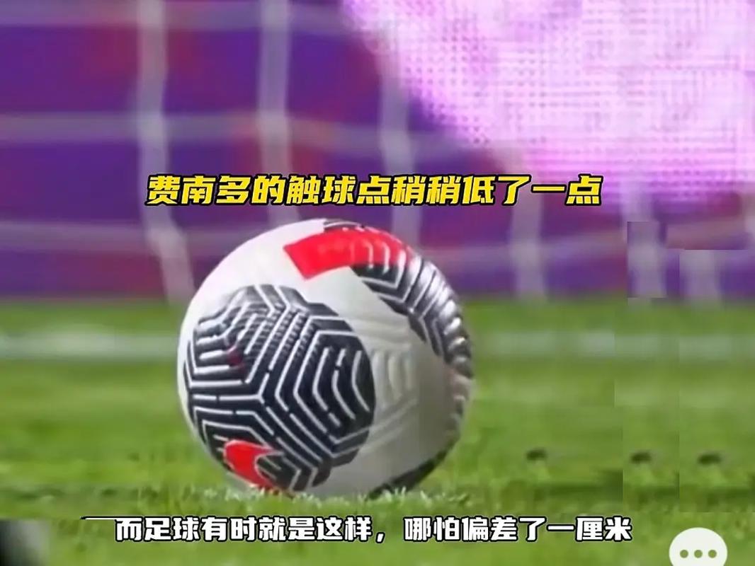 可以预见的
