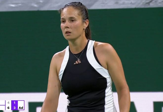 山东泰山预 山东泰山预